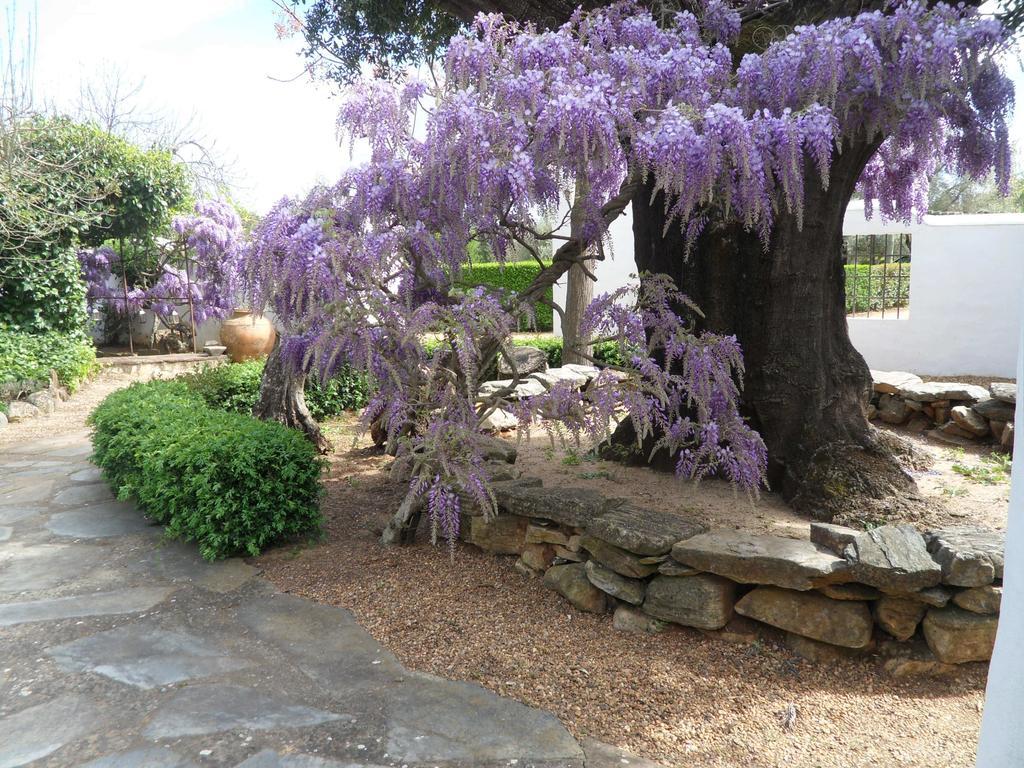 Monte Da Fornalha Bed & Breakfast Borba Exterior photo