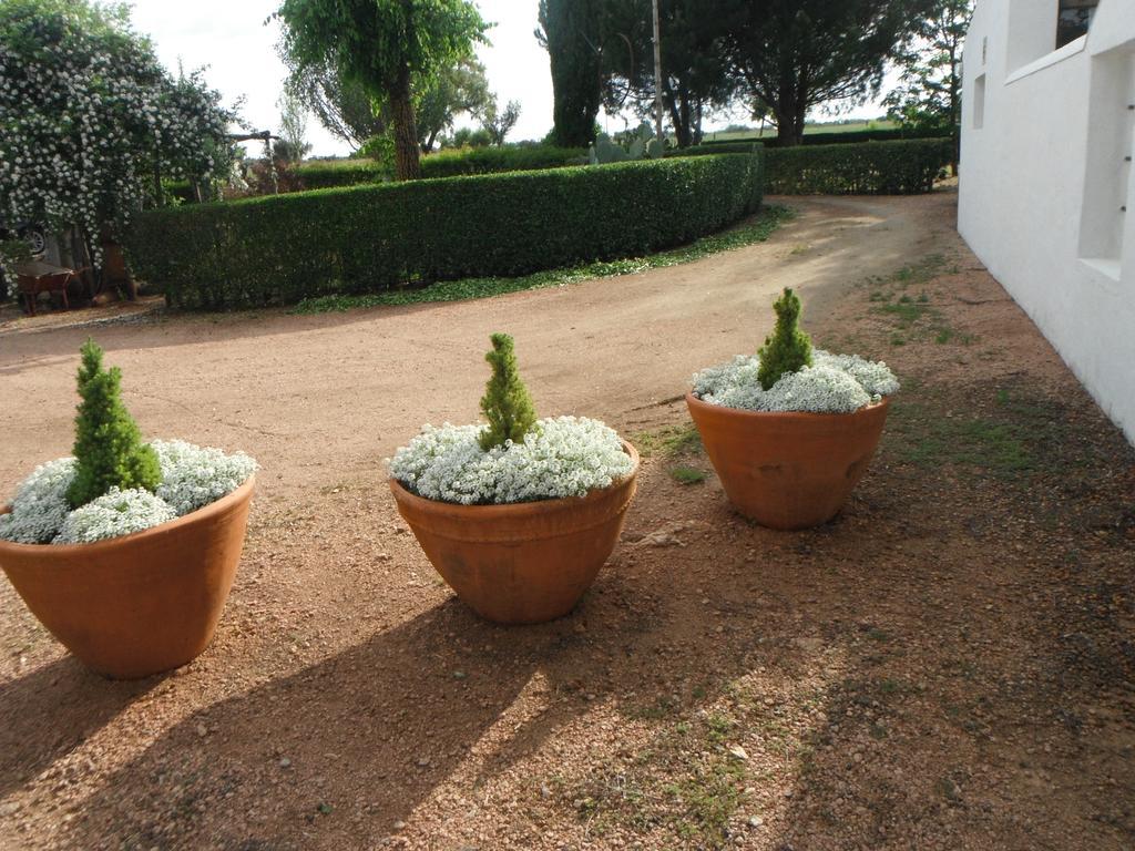 Monte Da Fornalha Bed & Breakfast Borba Exterior photo
